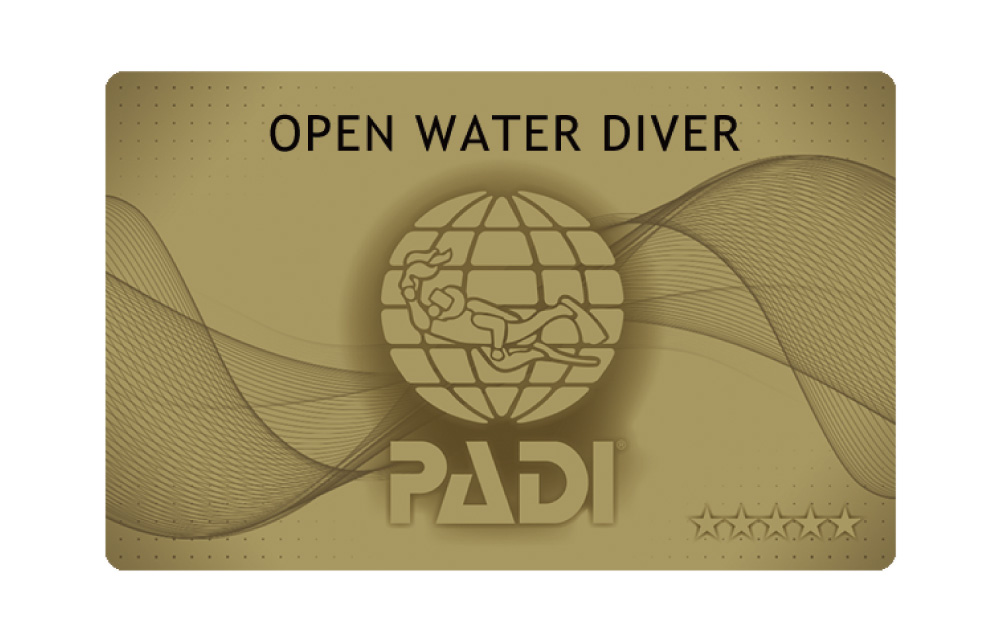 ダイビングライセンス取得の証明はPADI認定カード