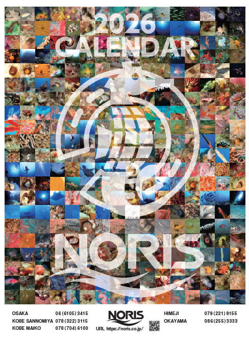 2026ダイビングスクールノリスオリジナルカレンダー（表紙）