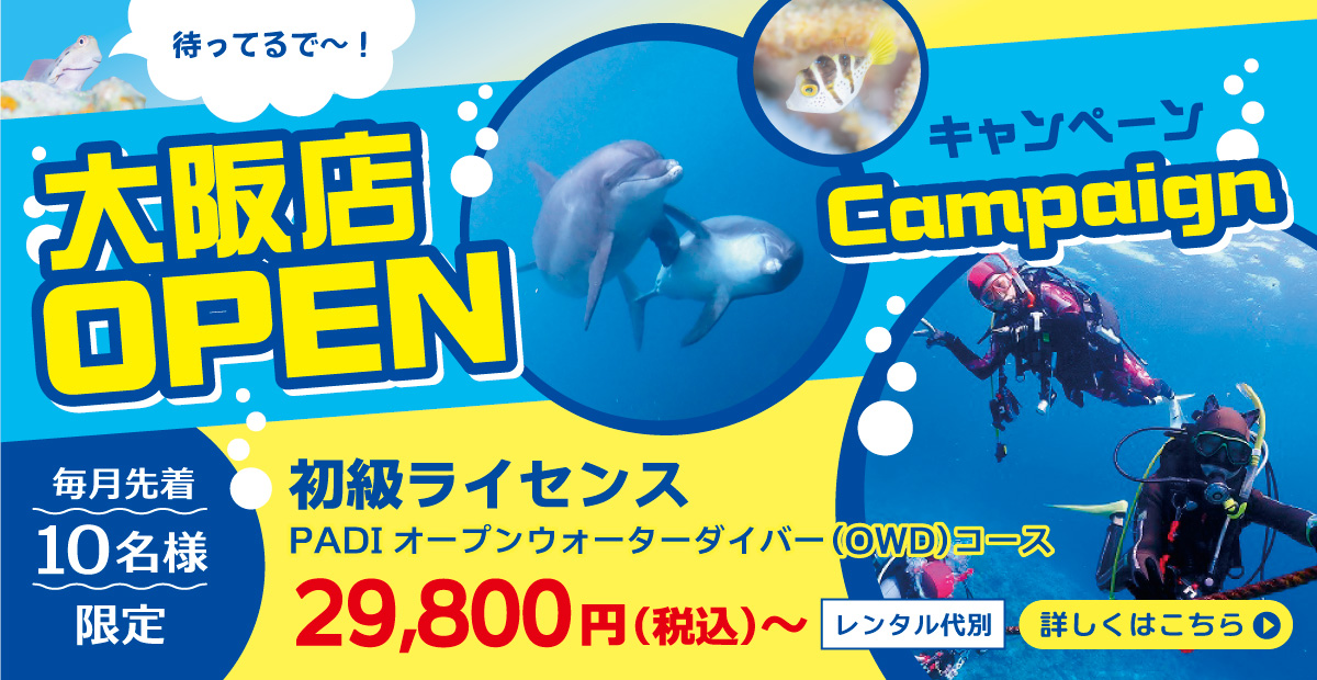 ダイビングスクールノリス大阪店OPENキャンペーンでお得にPADIのスキューバダイビングライセンスを取得