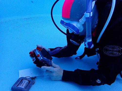 プールでカメラの練習もできる