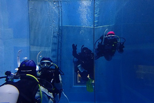 ダイビングのアイスフード