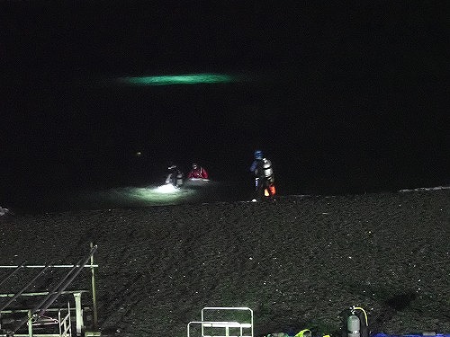 大瀬崎でのナイトダイビング