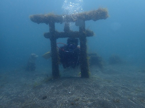 大瀬崎にはいろんな水沈物があります