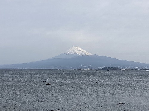 大瀬崎から見える富士山