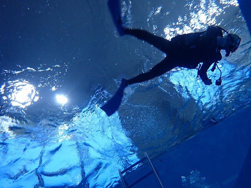 プールでスキルアップ