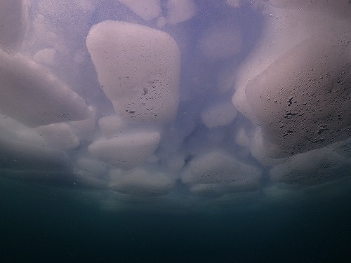 北海道知床：流氷ダイビング