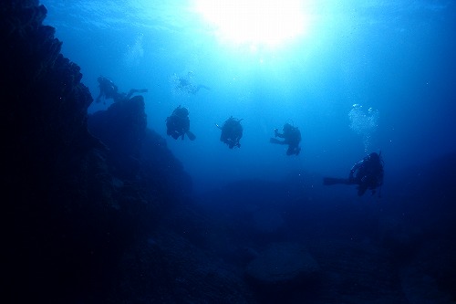 西四国のダイビング