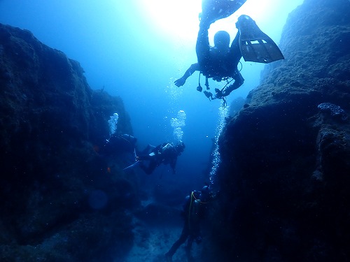 本州最南端の海で潜り納め